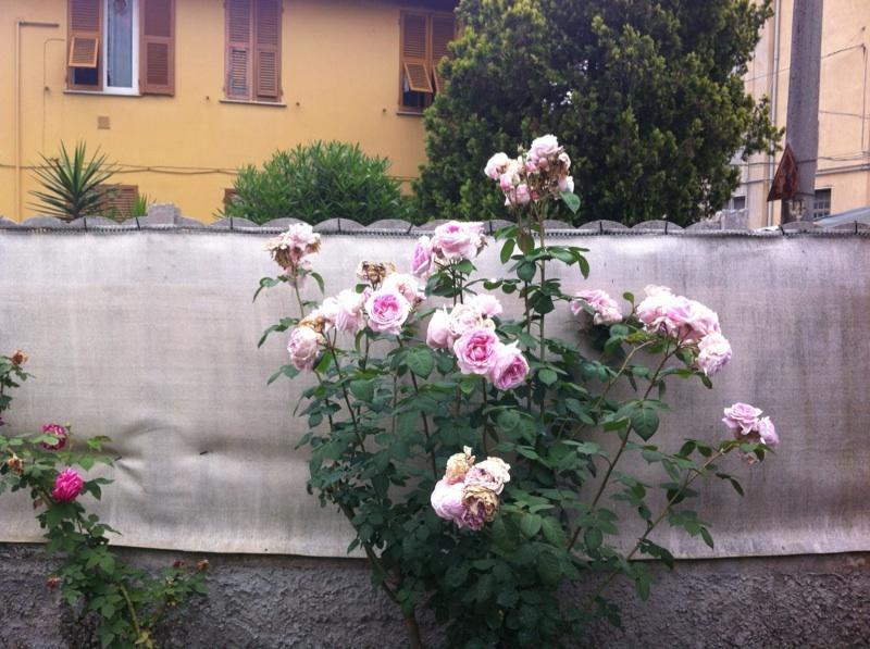 Solemare House Nearby Cinqueterre Villa ลาสเปเซีย ห้อง รูปภาพ